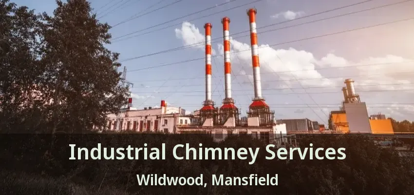 Industrial Chimney Services Wildwood, Mansfield - TX