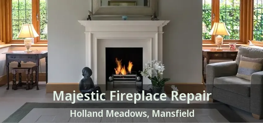 Majestic Fireplace Repair Holland Meadows, Mansfield - TX