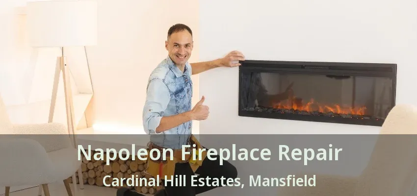 Napoleon Fireplace Repair Cardinal Hill Estates, Mansfield - TX