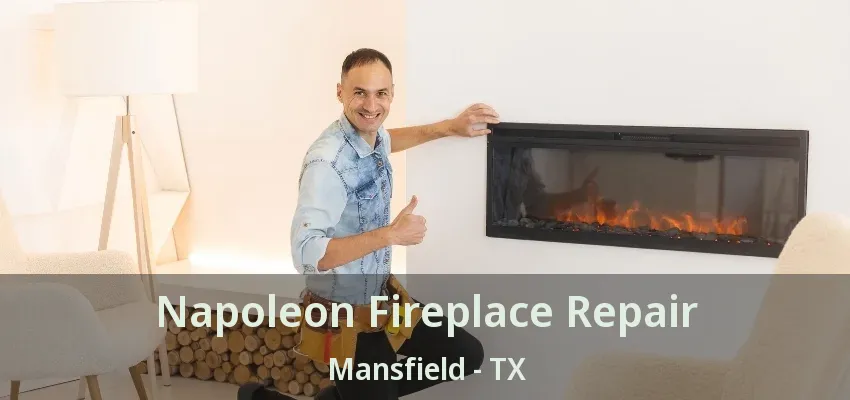 Napoleon Fireplace Repair Mansfield - TX
