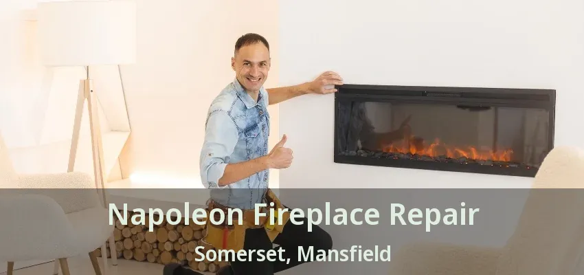 Napoleon Fireplace Repair Somerset, Mansfield - TX