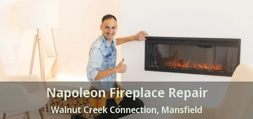 Napoleon Fireplace Repair Walnut Creek Connection, Mansfield - TX