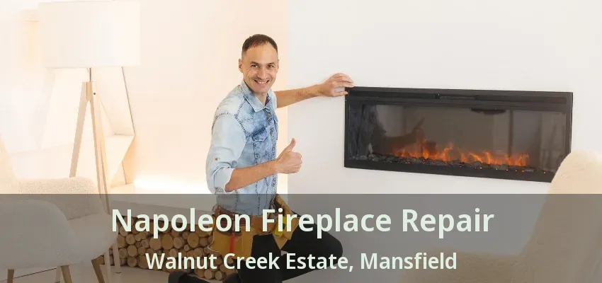 Napoleon Fireplace Repair Walnut Creek Estate, Mansfield - TX