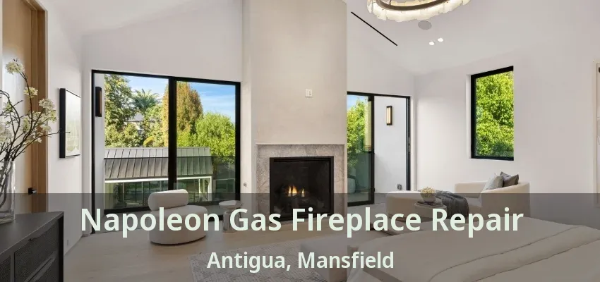 Napoleon Gas Fireplace Repair Antigua, Mansfield - TX