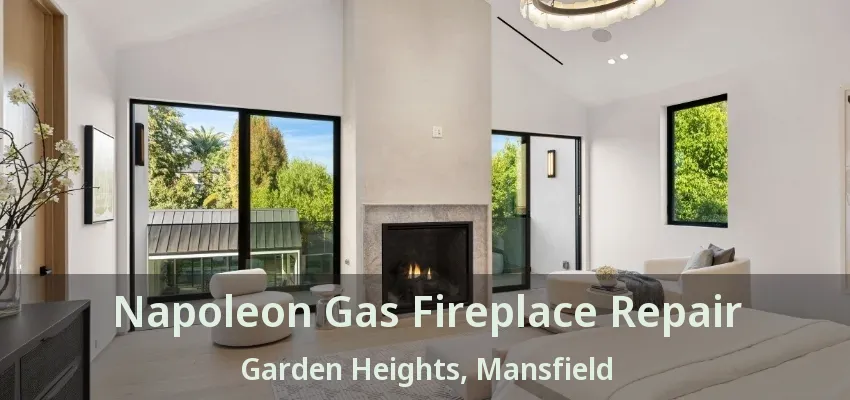 Napoleon Gas Fireplace Repair Garden Heights, Mansfield - TX