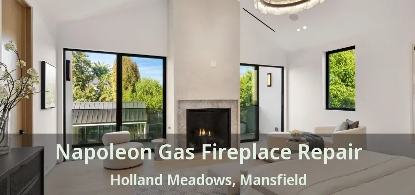 Napoleon Gas Fireplace Repair Holland Meadows, Mansfield - TX