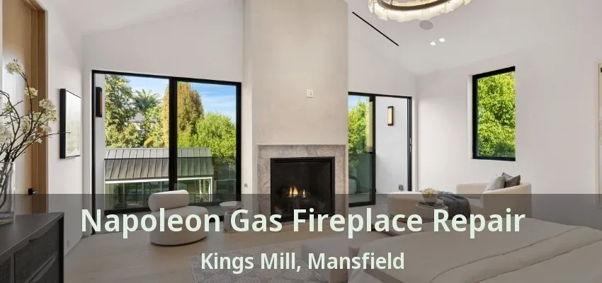 Napoleon Gas Fireplace Repair Kings Mill, Mansfield - TX