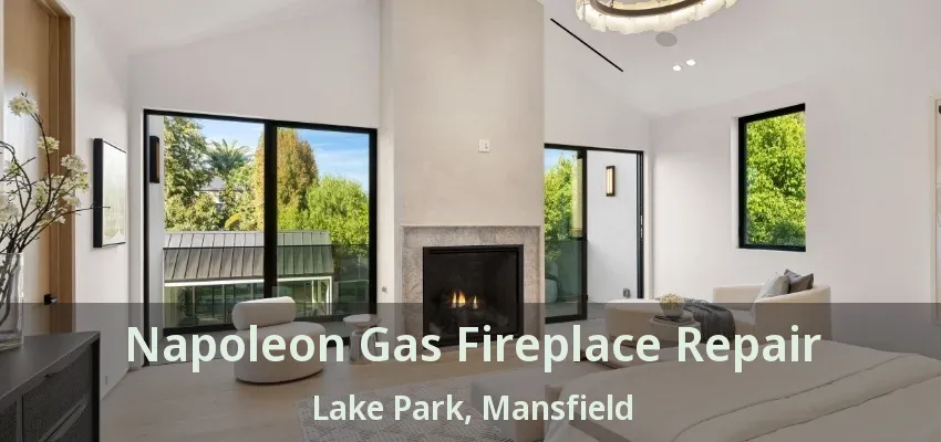 Napoleon Gas Fireplace Repair Lake Park, Mansfield - TX