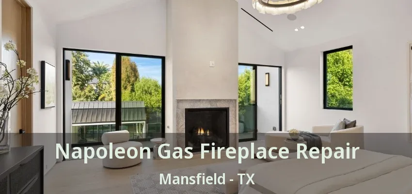 Napoleon Gas Fireplace Repair Mansfield - TX