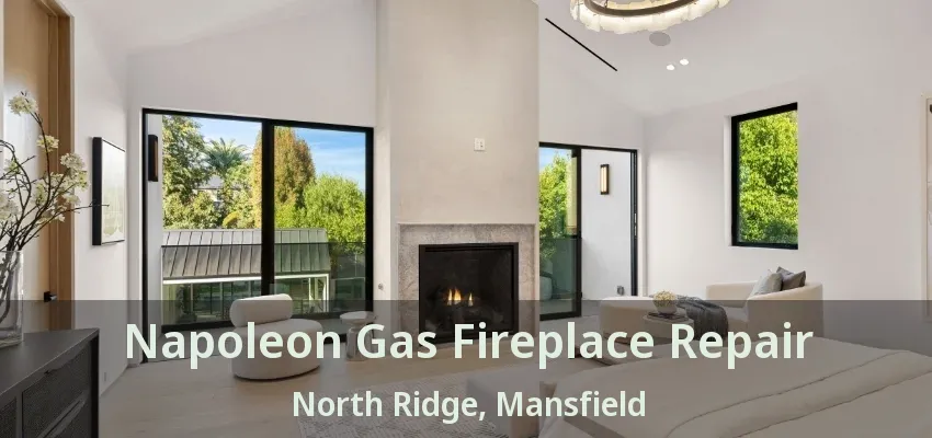 Napoleon Gas Fireplace Repair North Ridge, Mansfield - TX