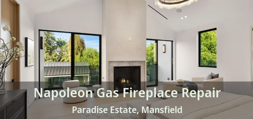 Napoleon Gas Fireplace Repair Paradise Estate, Mansfield - TX