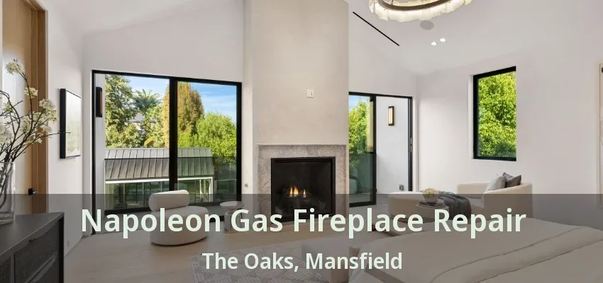 Napoleon Gas Fireplace Repair The Oaks, Mansfield - TX