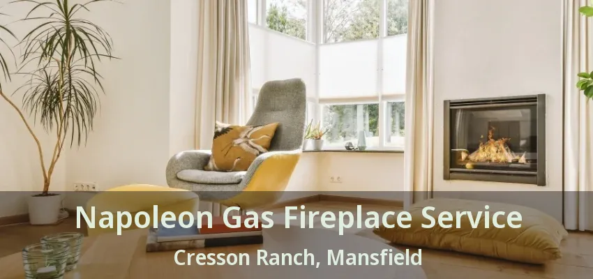 Napoleon Gas Fireplace Service Cresson Ranch, Mansfield - TX