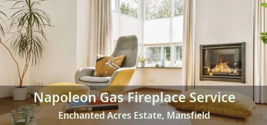 Napoleon Gas Fireplace Service Enchanted Acres Estate, Mansfield - TX