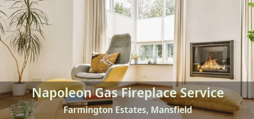 Napoleon Gas Fireplace Service Farmington Estates, Mansfield - TX