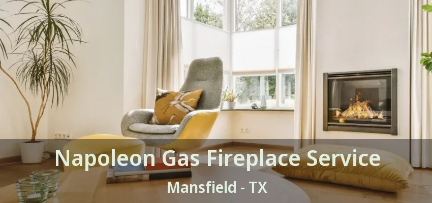 Napoleon Gas Fireplace Service Mansfield - TX