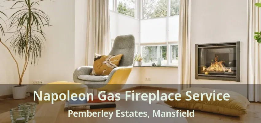 Napoleon Gas Fireplace Service Pemberley Estates, Mansfield - TX