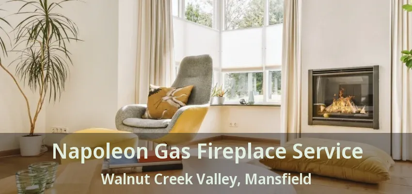 Napoleon Gas Fireplace Service Walnut Creek Valley, Mansfield - TX