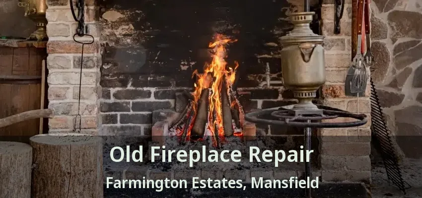 Old Fireplace Repair Farmington Estates, Mansfield - TX