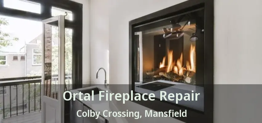 Ortal Fireplace Repair Colby Crossing, Mansfield - TX