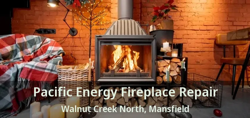 Pacific Energy Fireplace Repair Walnut Creek North, Mansfield - TX