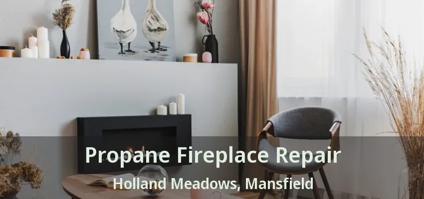 Propane Fireplace Repair Holland Meadows, Mansfield - TX
