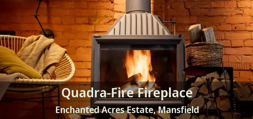 Quadra-Fire Fireplace Enchanted Acres Estate, Mansfield - TX