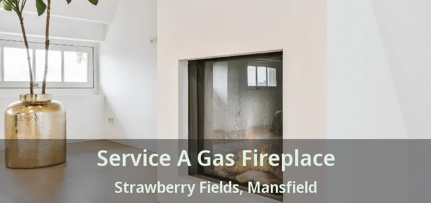 Service A Gas Fireplace Strawberry Fields, Mansfield - TX