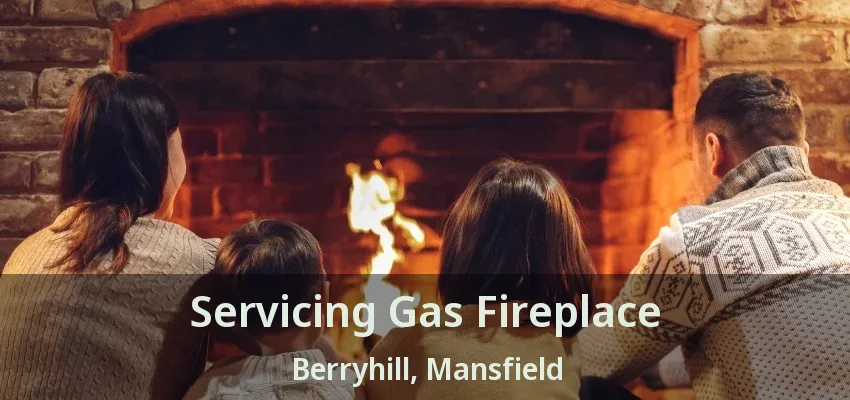Servicing Gas Fireplace Berryhill, Mansfield - TX