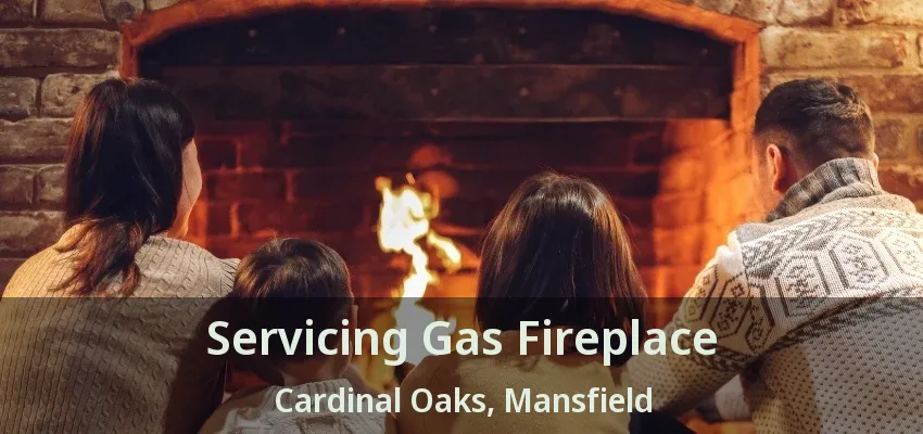 Servicing Gas Fireplace Cardinal Oaks, Mansfield - TX