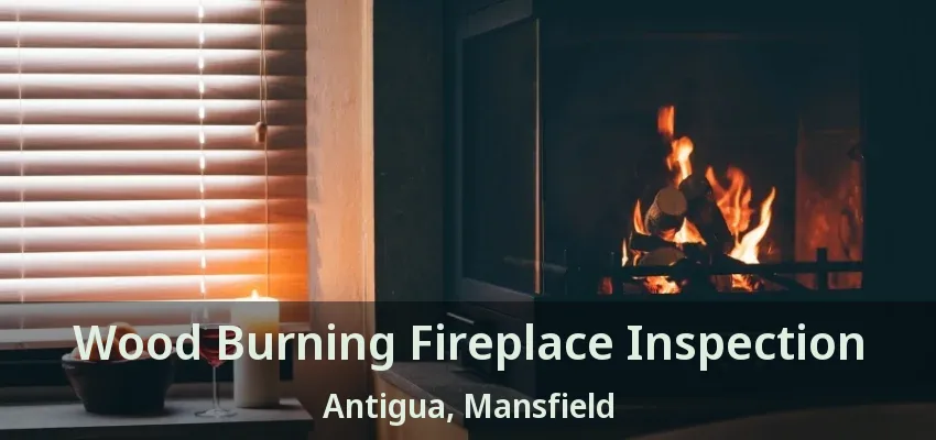Wood Burning Fireplace Inspection Antigua, Mansfield - TX