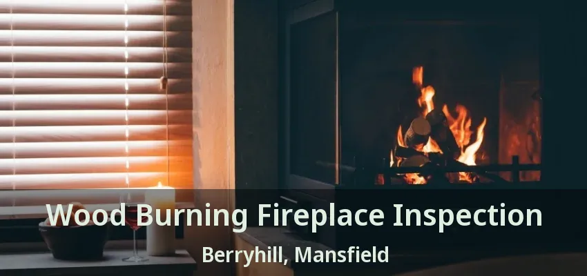 Wood Burning Fireplace Inspection Berryhill, Mansfield - TX