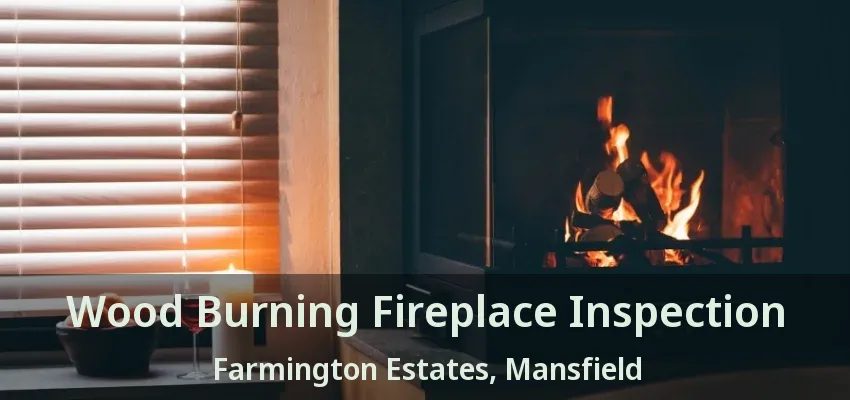 Wood Burning Fireplace Inspection Farmington Estates, Mansfield - TX