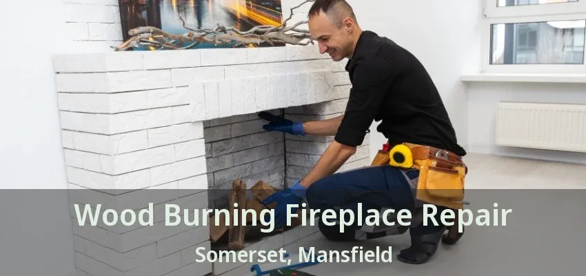 Wood Burning Fireplace Repair Somerset, Mansfield - TX