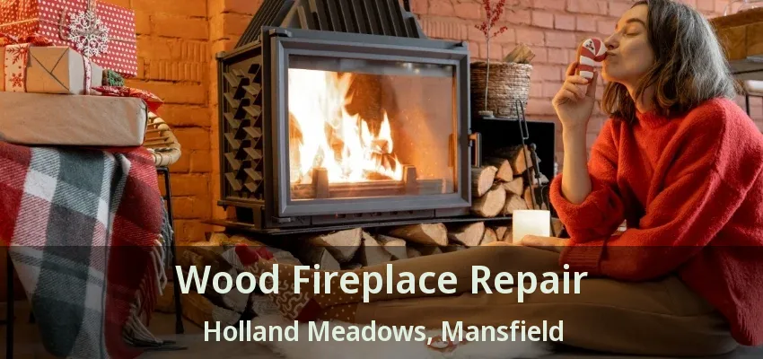 Wood Fireplace Repair Holland Meadows, Mansfield - TX
