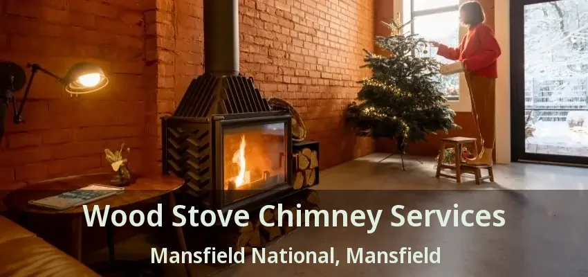Wood Stove Chimney Services Mansfield National, Mansfield - TX