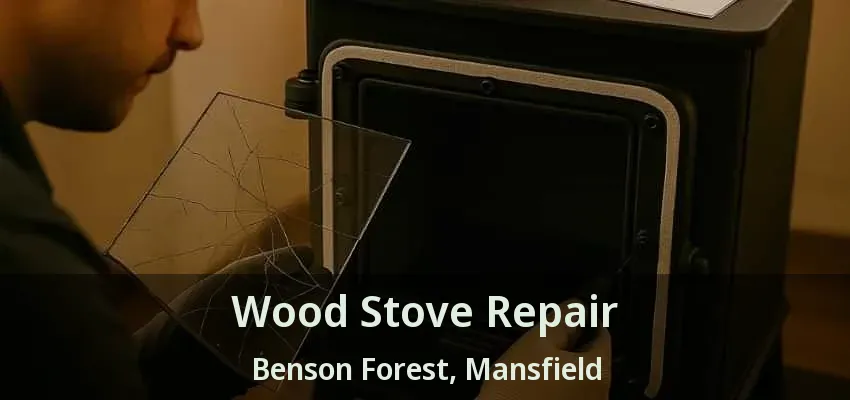 Wood Stove Repair Benson Forest, Mansfield - TX