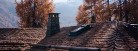 Chimney Animal Removal Mansfield