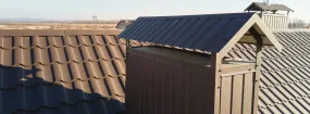 Chimney Cap Services Mansfield