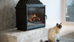Wood Burning Fireplace Repair Mansfield